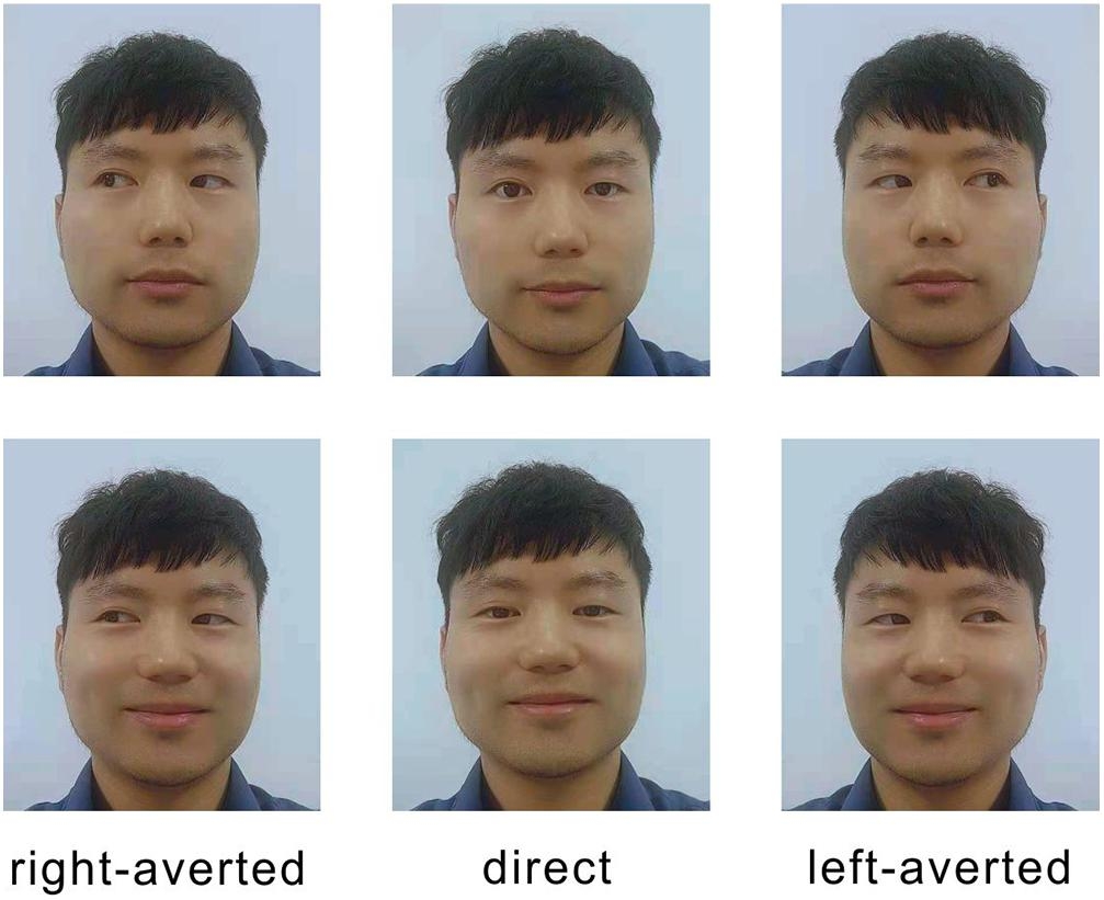 Frontiers Emotional Gaze The Effects Of Gaze Direction On The Perception Of Facial Emotions