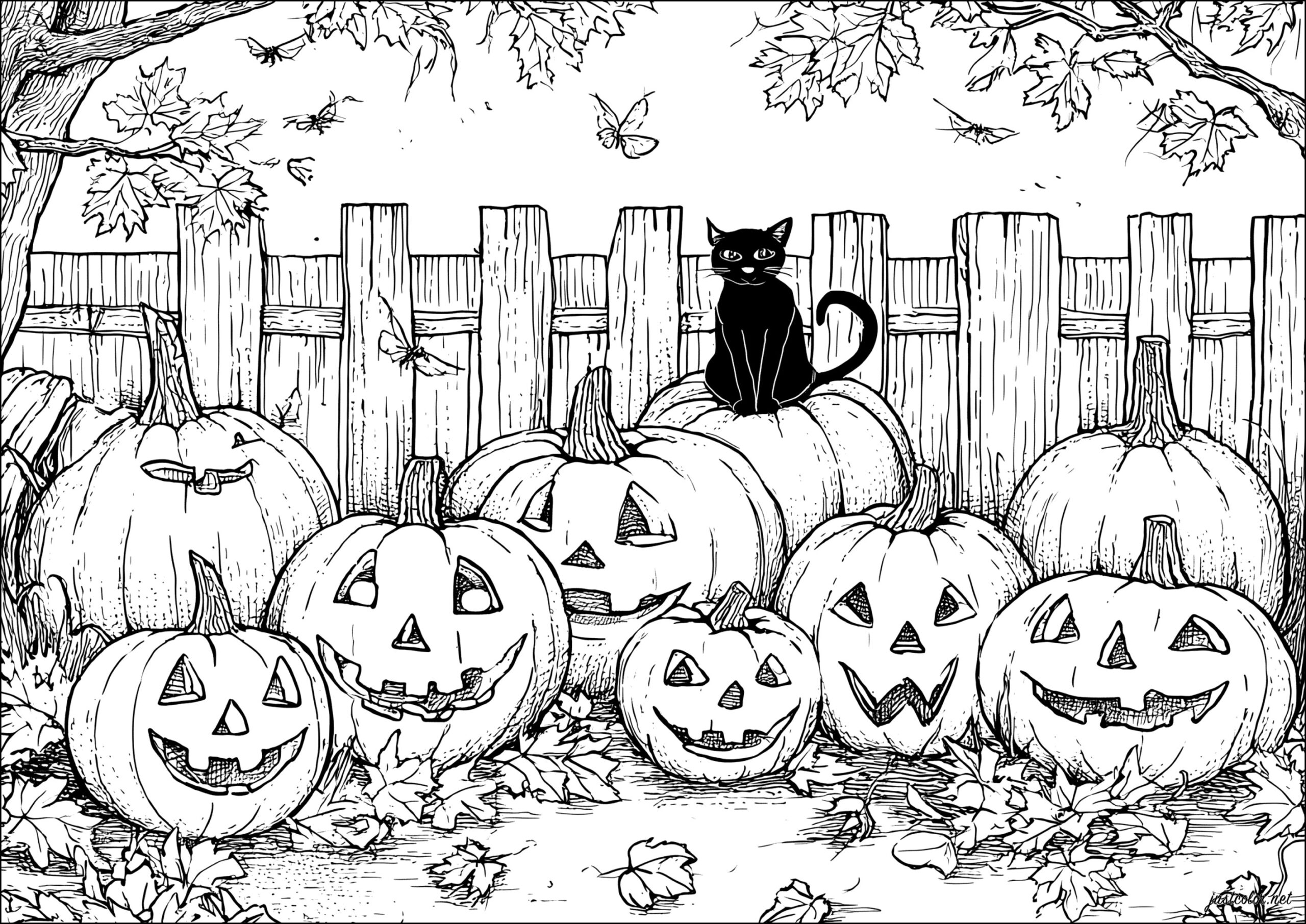 Halloween 81595 Halloween Coloring Pages For Adults Halloween 81595 Halloween Coloring Pages For Adults