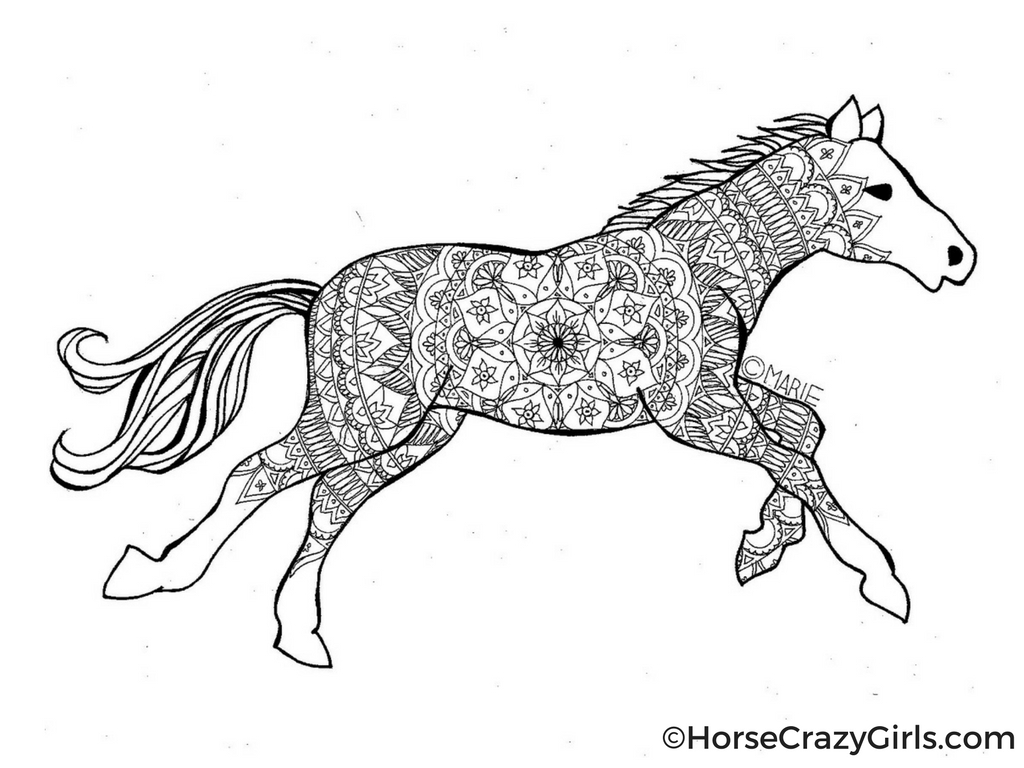 horse coloring pages for free