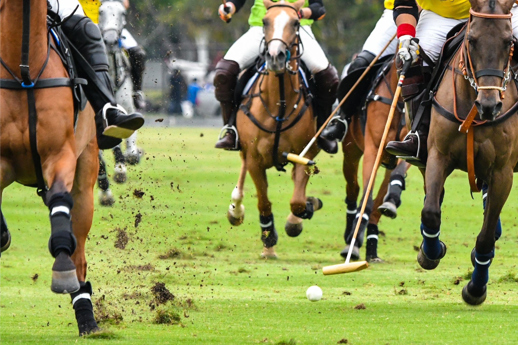 Horse Polo Terminology Talk The Talk Of This Fast Paced Sport Horse Rookie