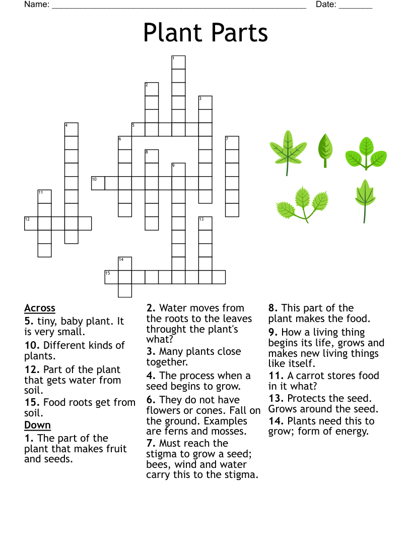 Horticulture I Final Exam Review 1 00 3 01 Crossword WordMint