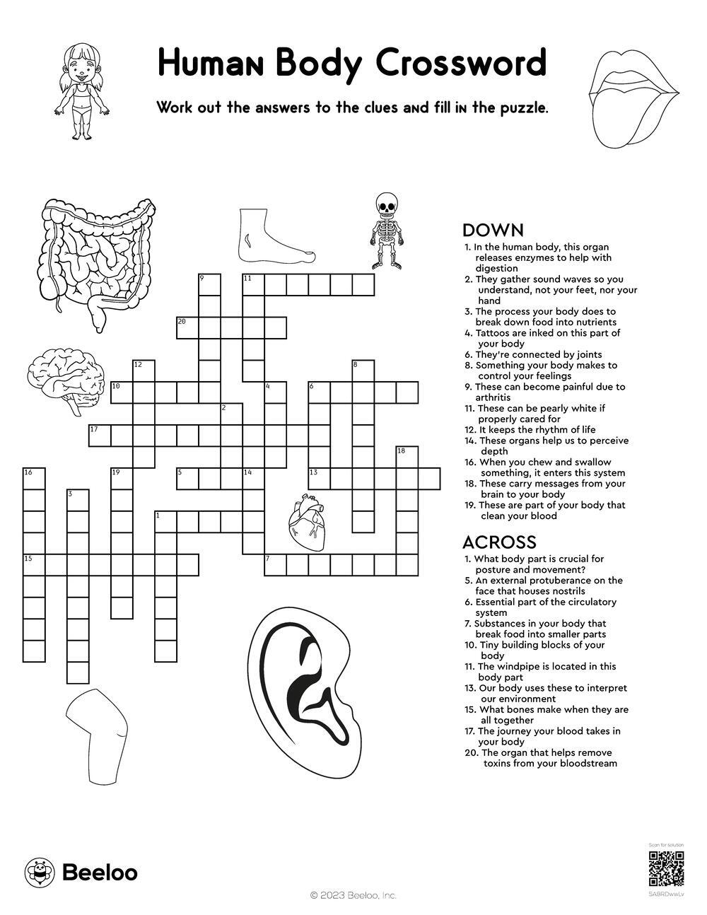 Human Body Crossword Beeloo Printable Crafts And Activities For Kids