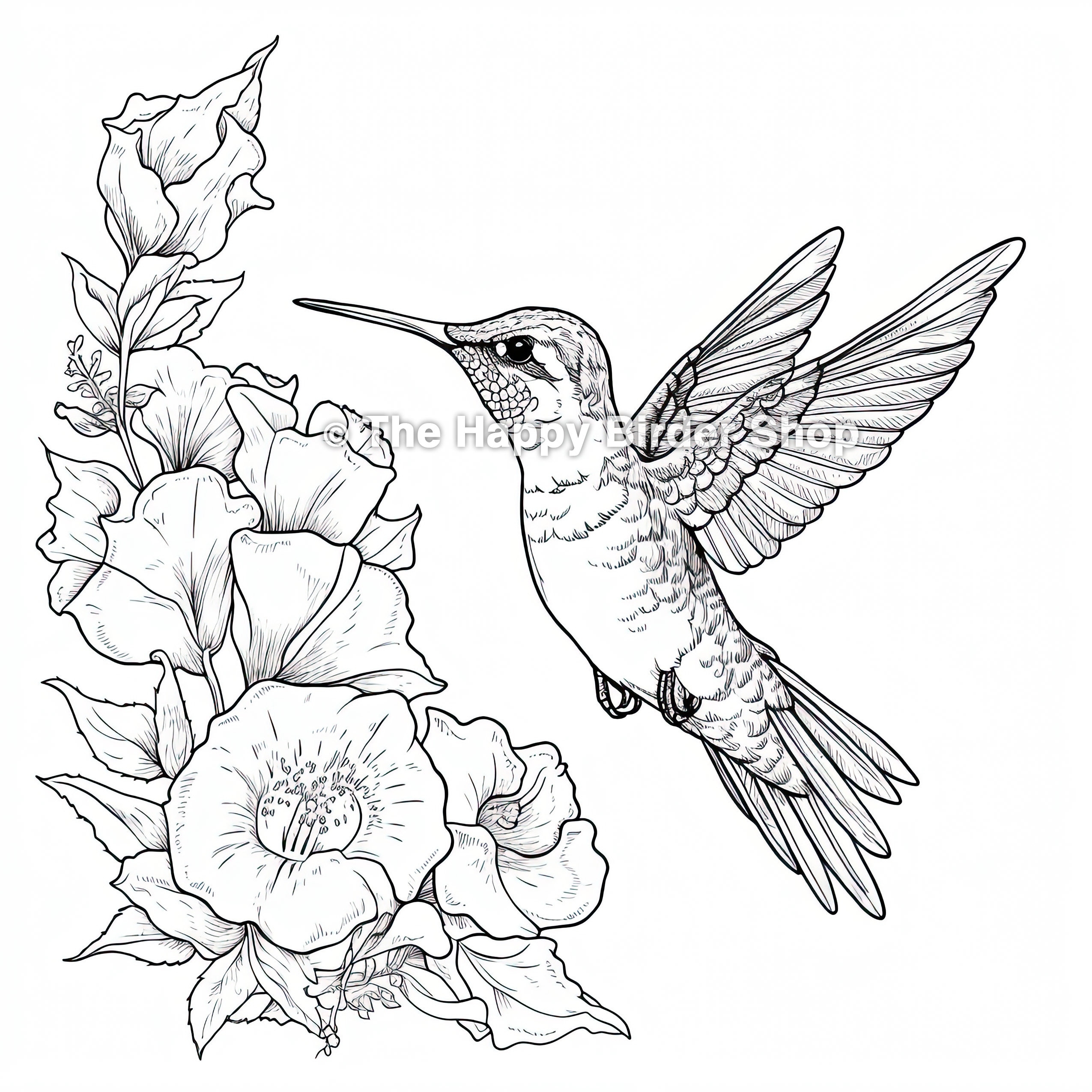 Hummingbird Coloring Book Page Birds Bird Nerd bird Gifts fun Bird Gifts bird Lovers Nature Adult Coloring Book Stress Anxiety Relief Etsy Israel