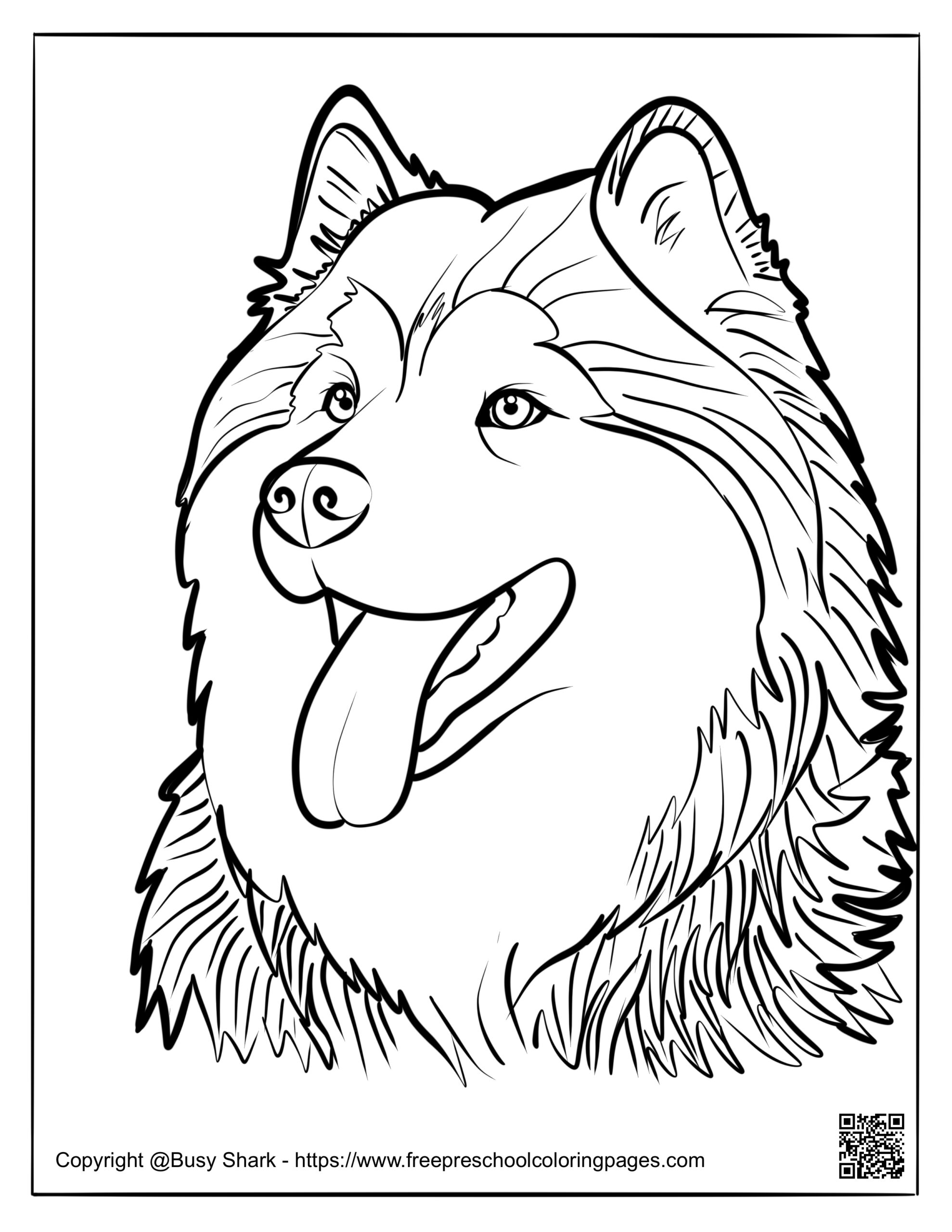 Husky Dog Free Coloring Pages