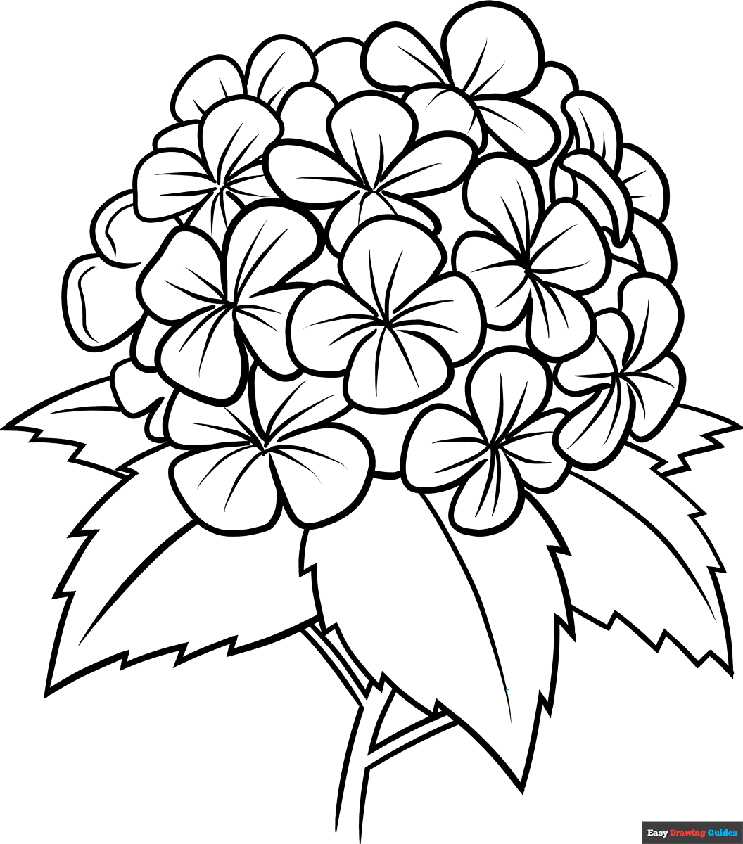 free printable flower coloring sheets free printable flower coloring sheets