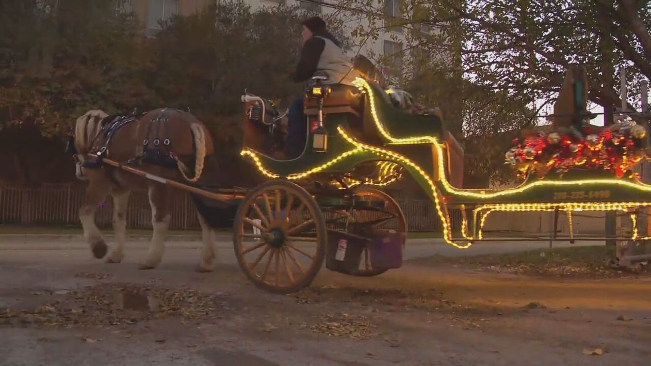 It s Official City Council Votes To Phase Out Horse drawn Carriages From Downtown