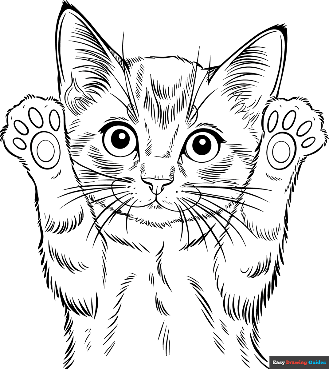 free kitten coloring pages