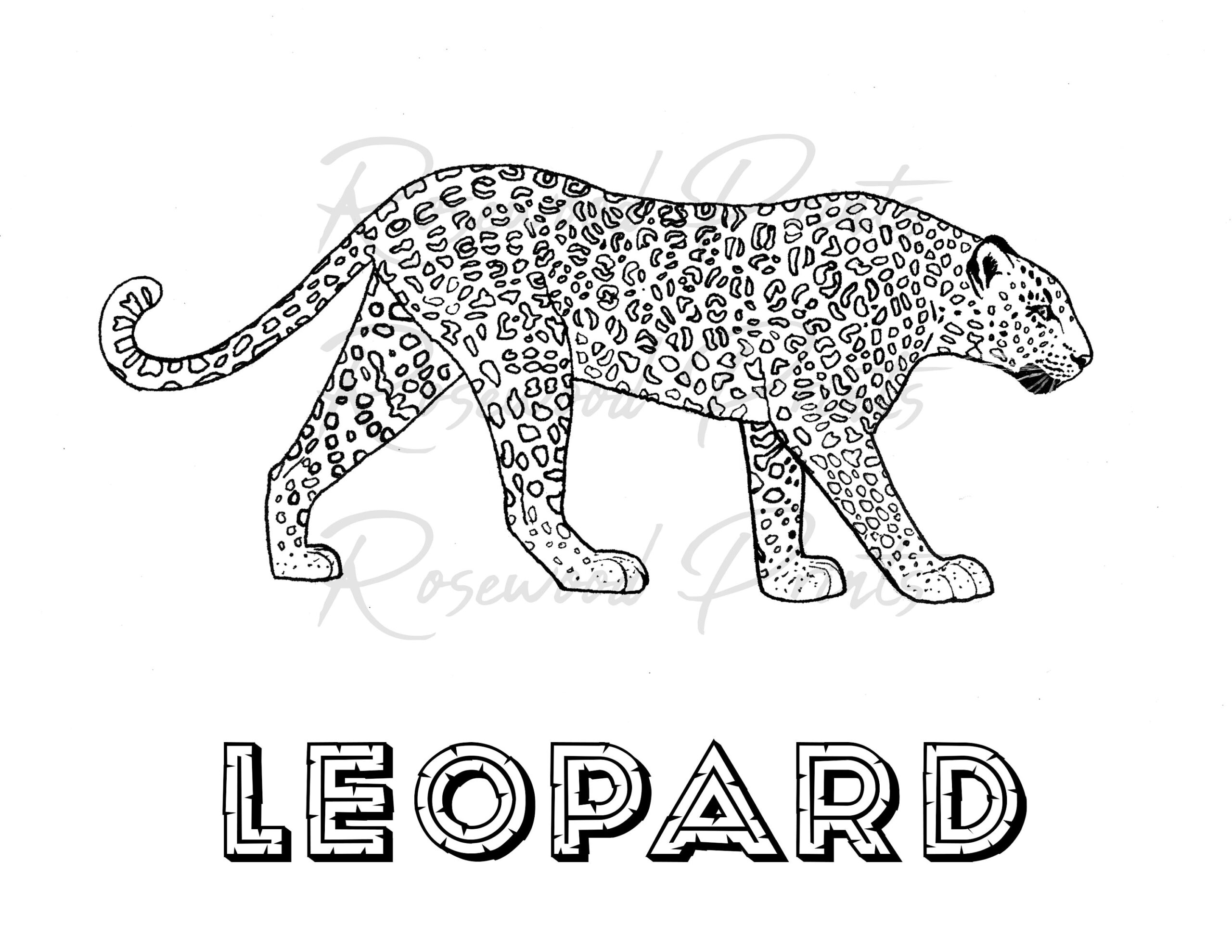 Leopard Coloring Page Etsy