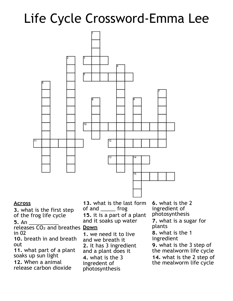 Life Of Pi Director Lee Crossword Clue