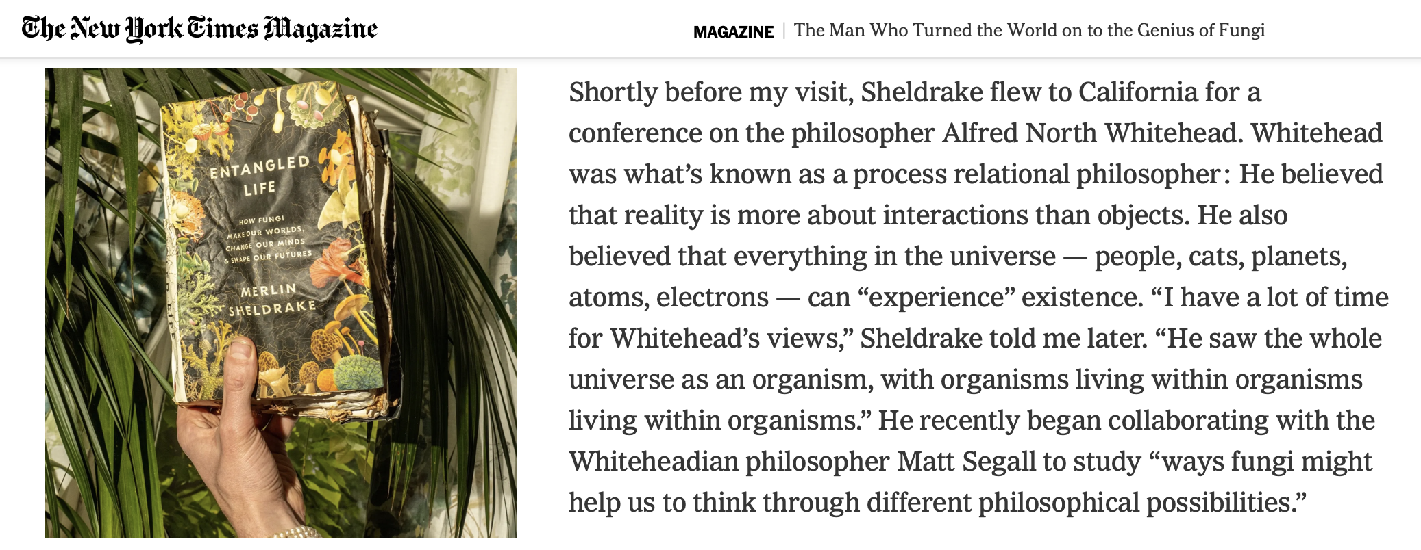 ditto in footnotes nyt