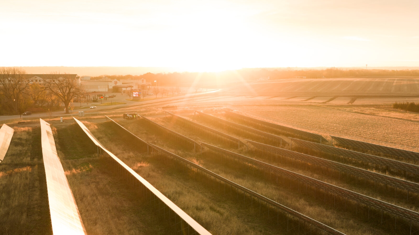 Opinion In Which I Try Valiantly To Cheer You Up The New York Times