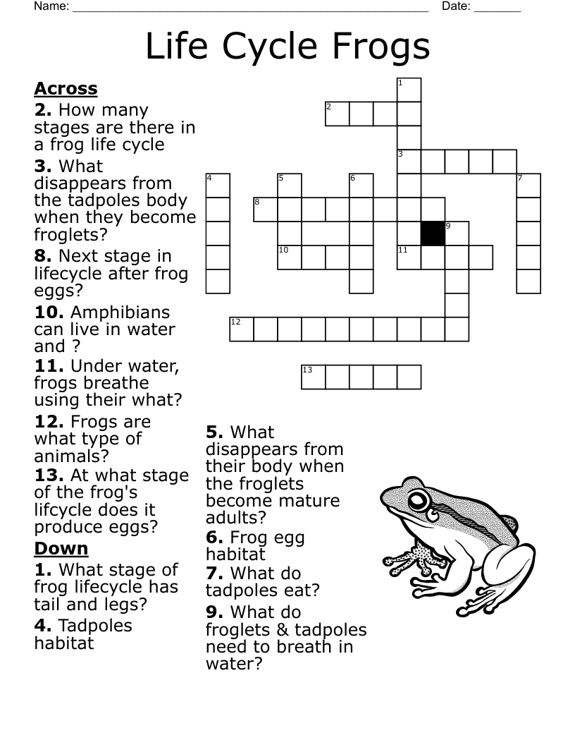 Pacific Salmon Crossword WordMint