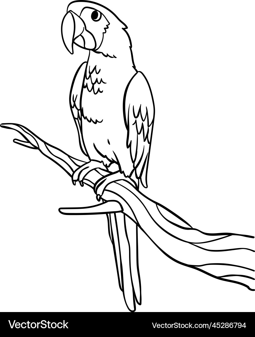Parrot Isolated Coloring Page For Kids Royalty Free Vector VectorStock