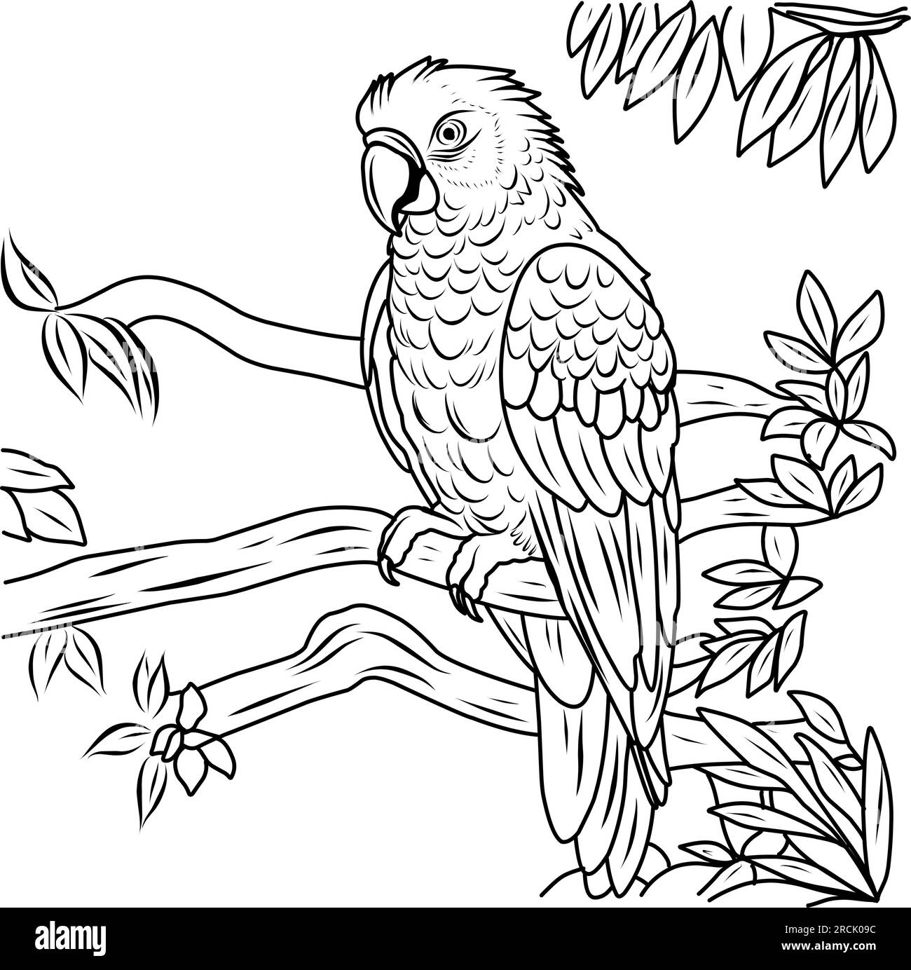 Parrot Macaw Coloring Page Bird Exotic Coloring Page Stock Vector Image Art Alamy