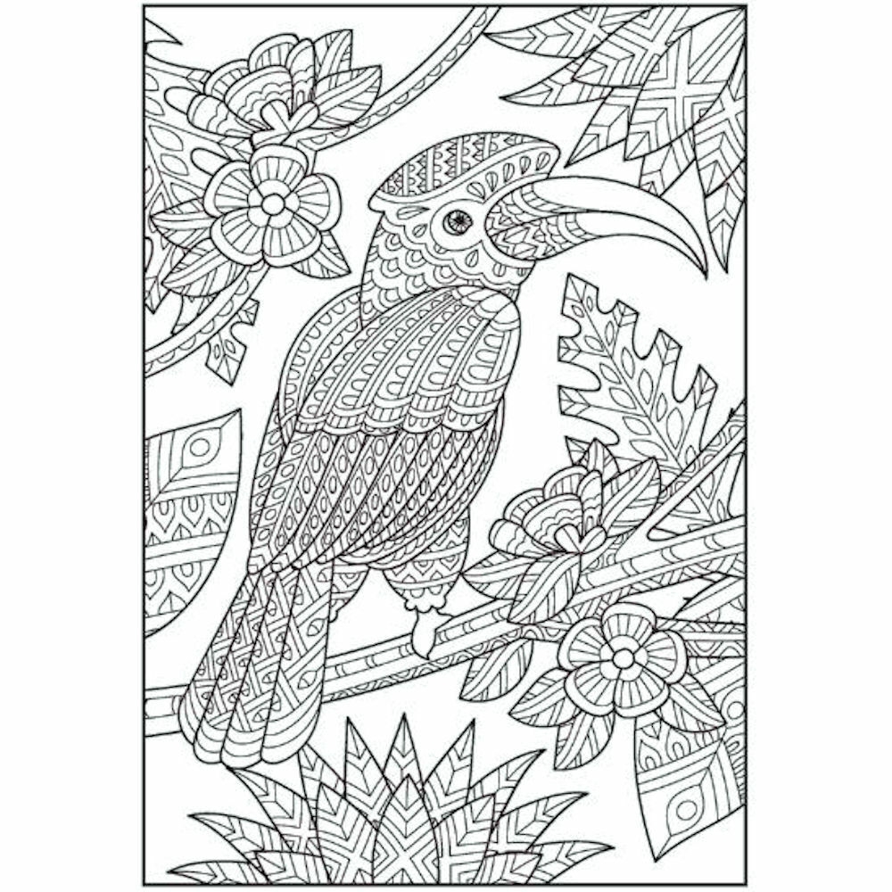 nature coloring book pages