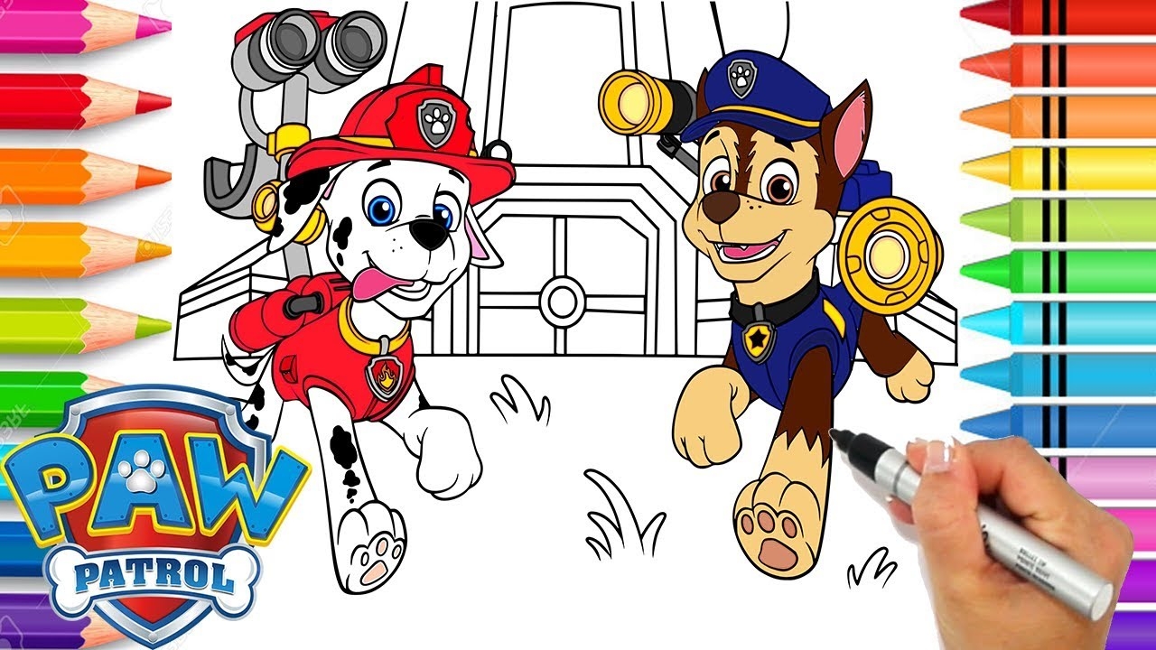 marshall paw patrol coloring page marshall paw patrol coloring page