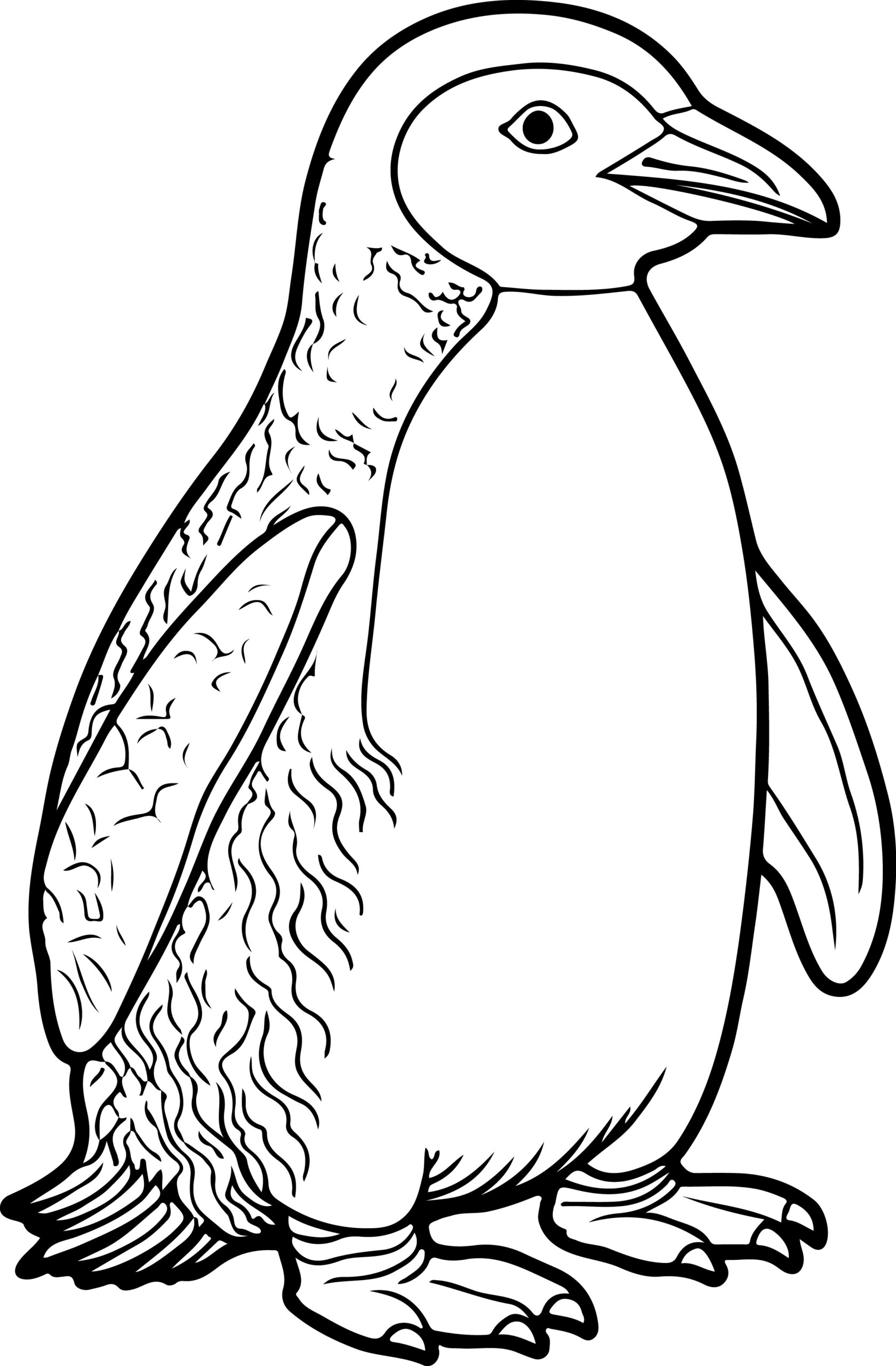 coloring pages of penguins coloring pages of penguins