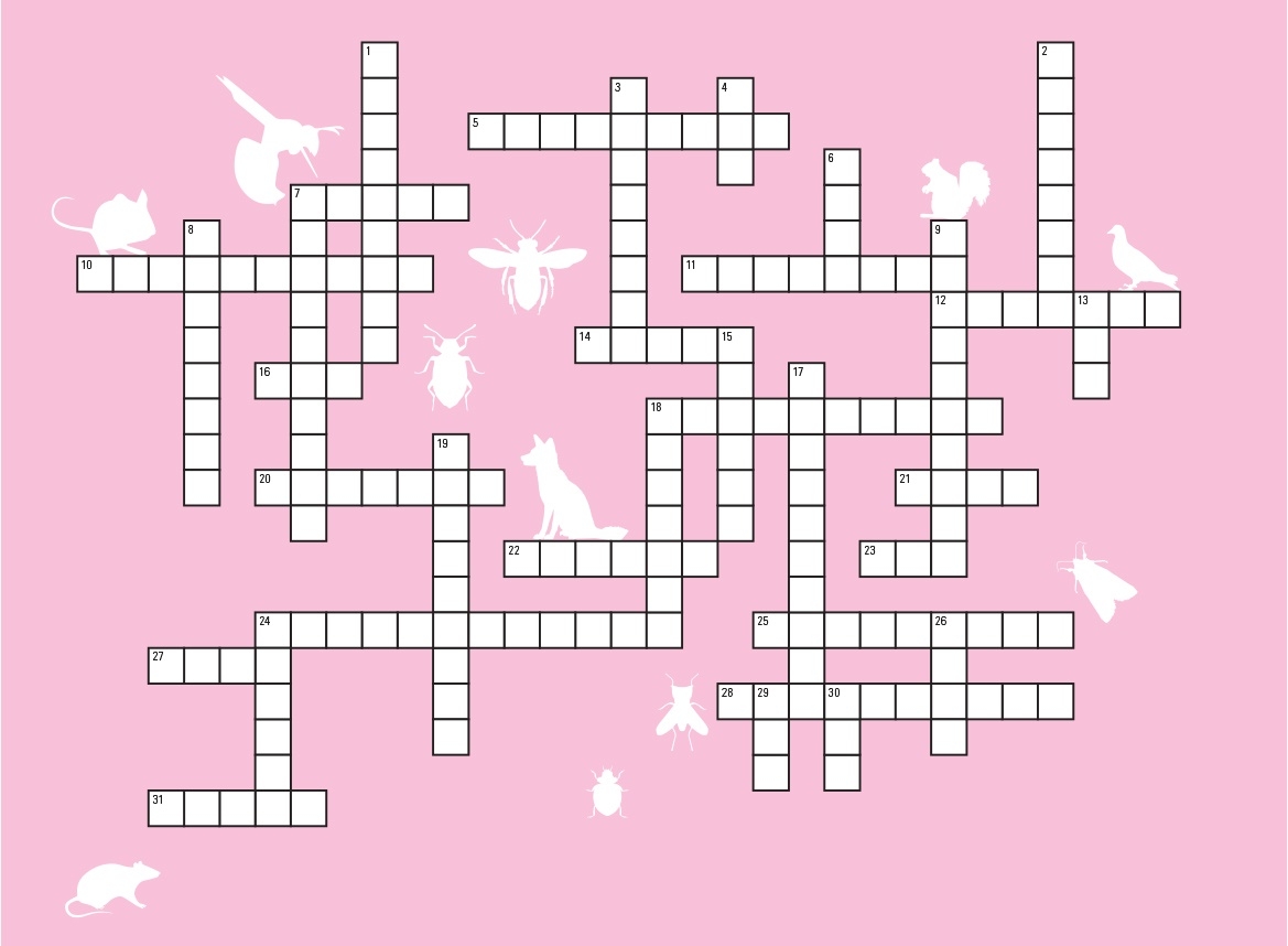 Pest Management Crossword Puzzle