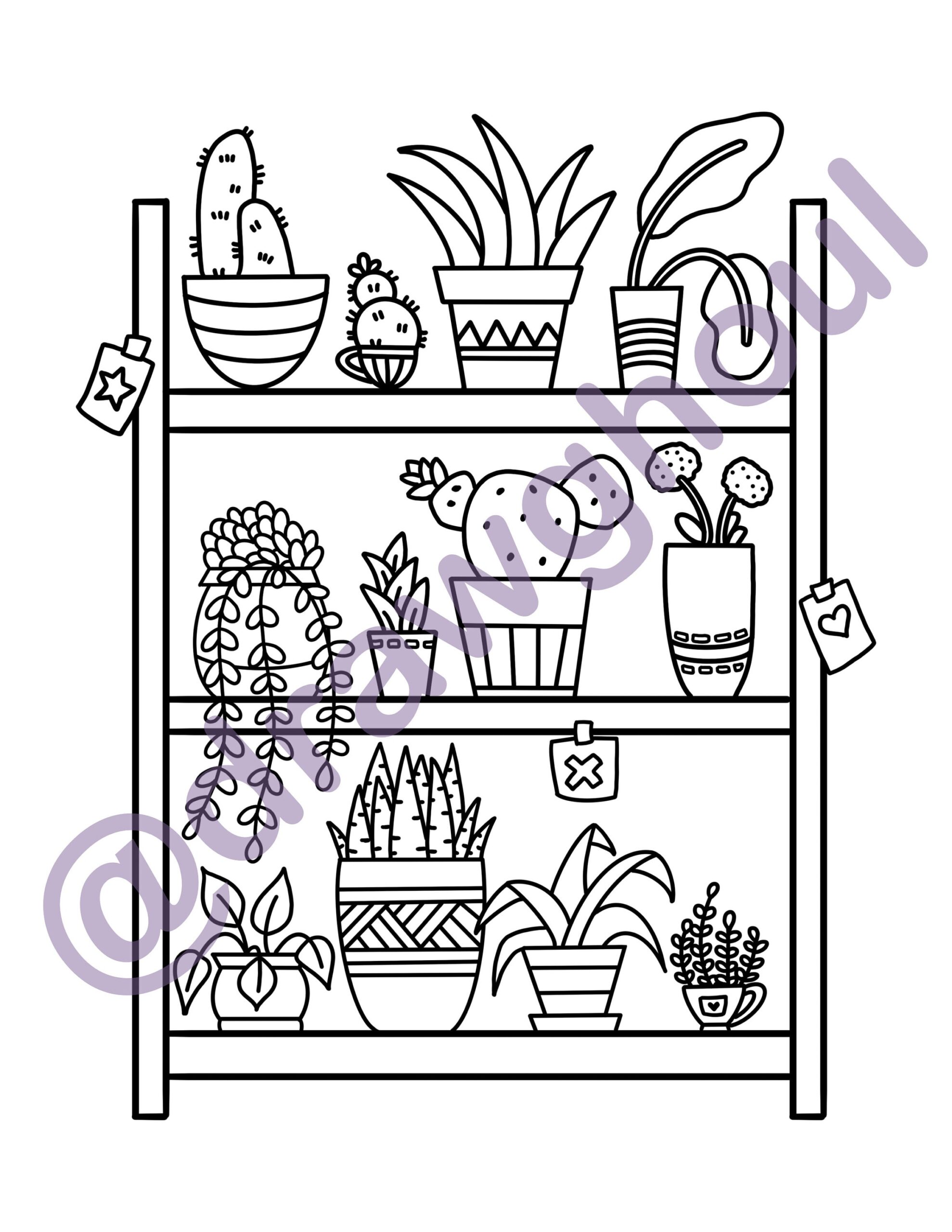 Plant Shelf Coloring Page Cactus Potted Plants digital Download Etsy