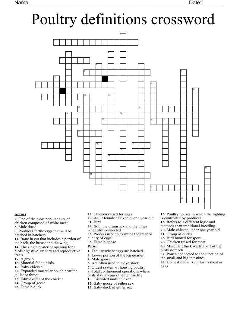 Poultry Definitions Crossword WordMint