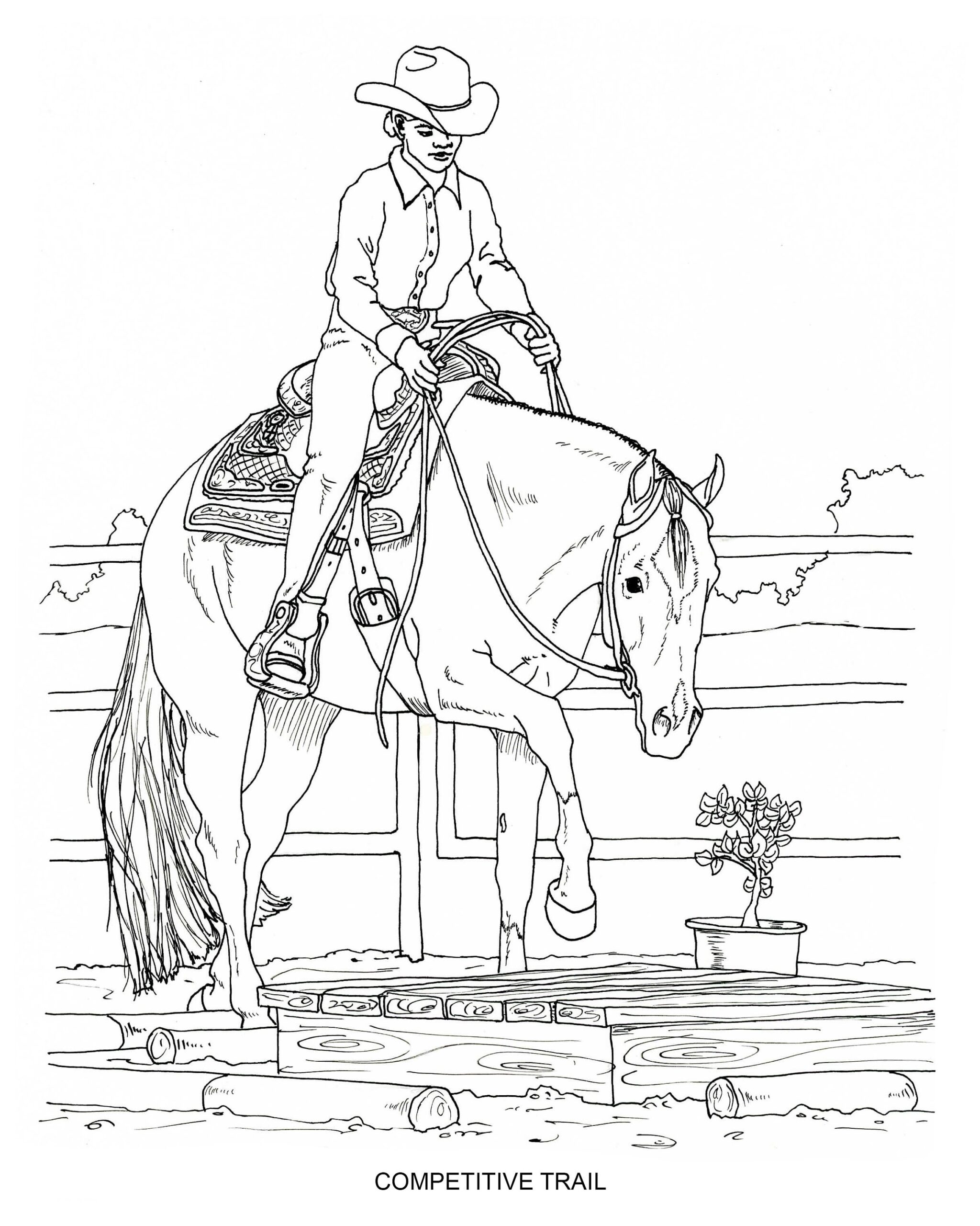 coloring pages of horses