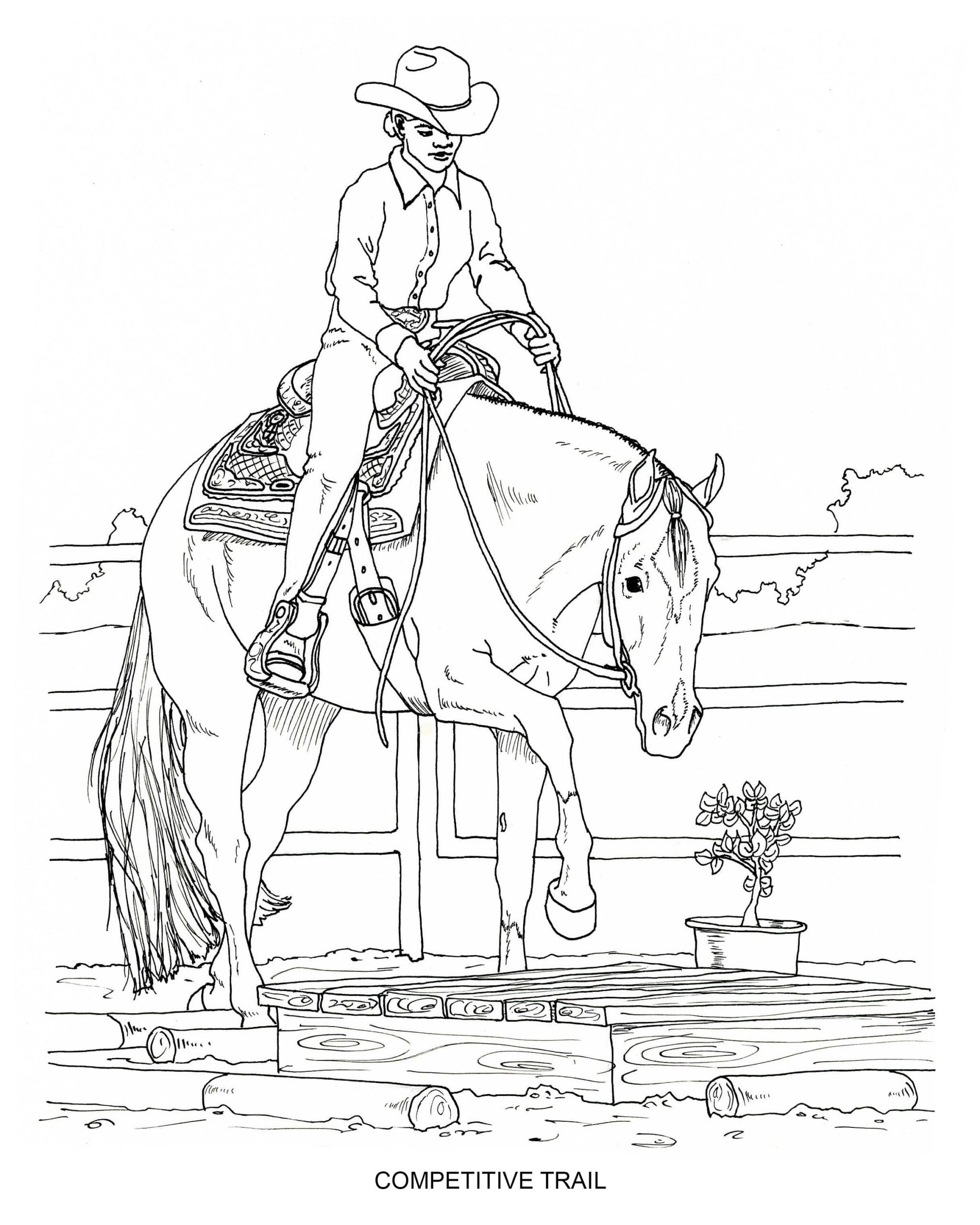 horse coloring sheets to print