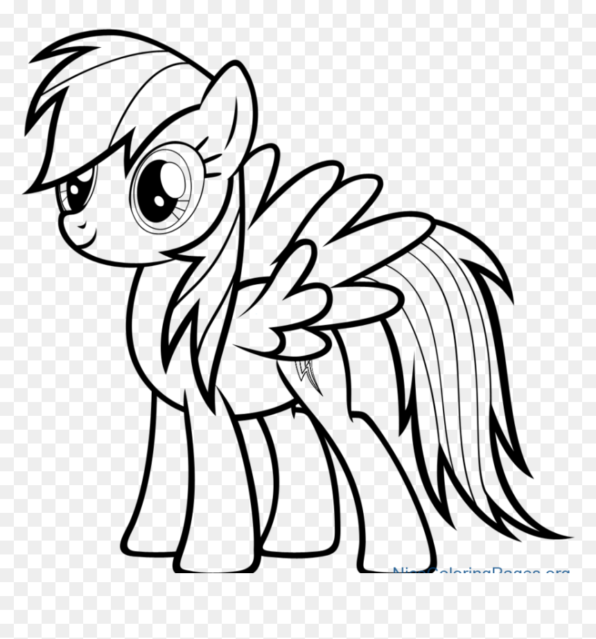 Rainbow Dash Photo Drawing Mlp Coloring Pages Rainbow Dash HD Png Download Vhv