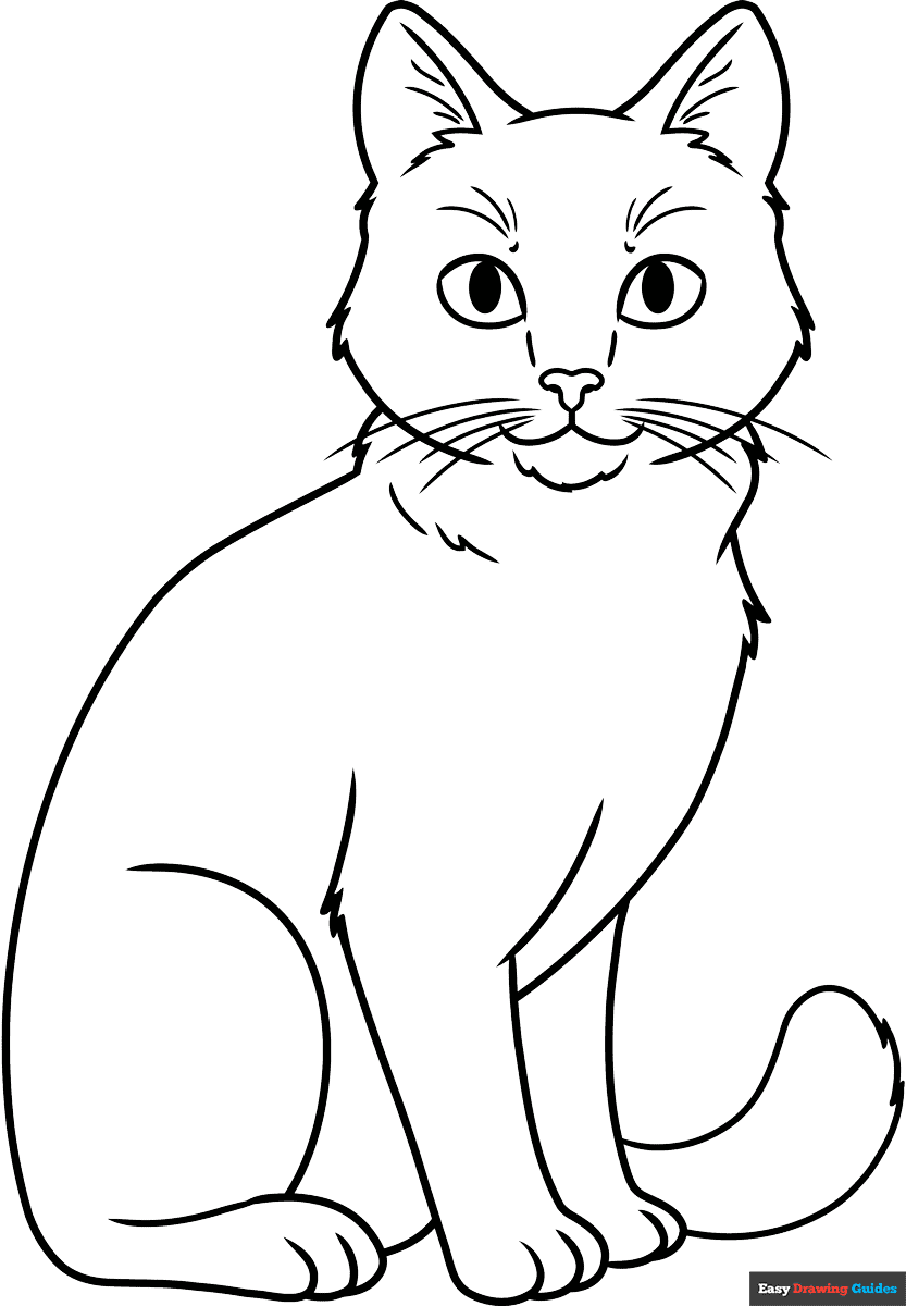 realistic cat coloring pages