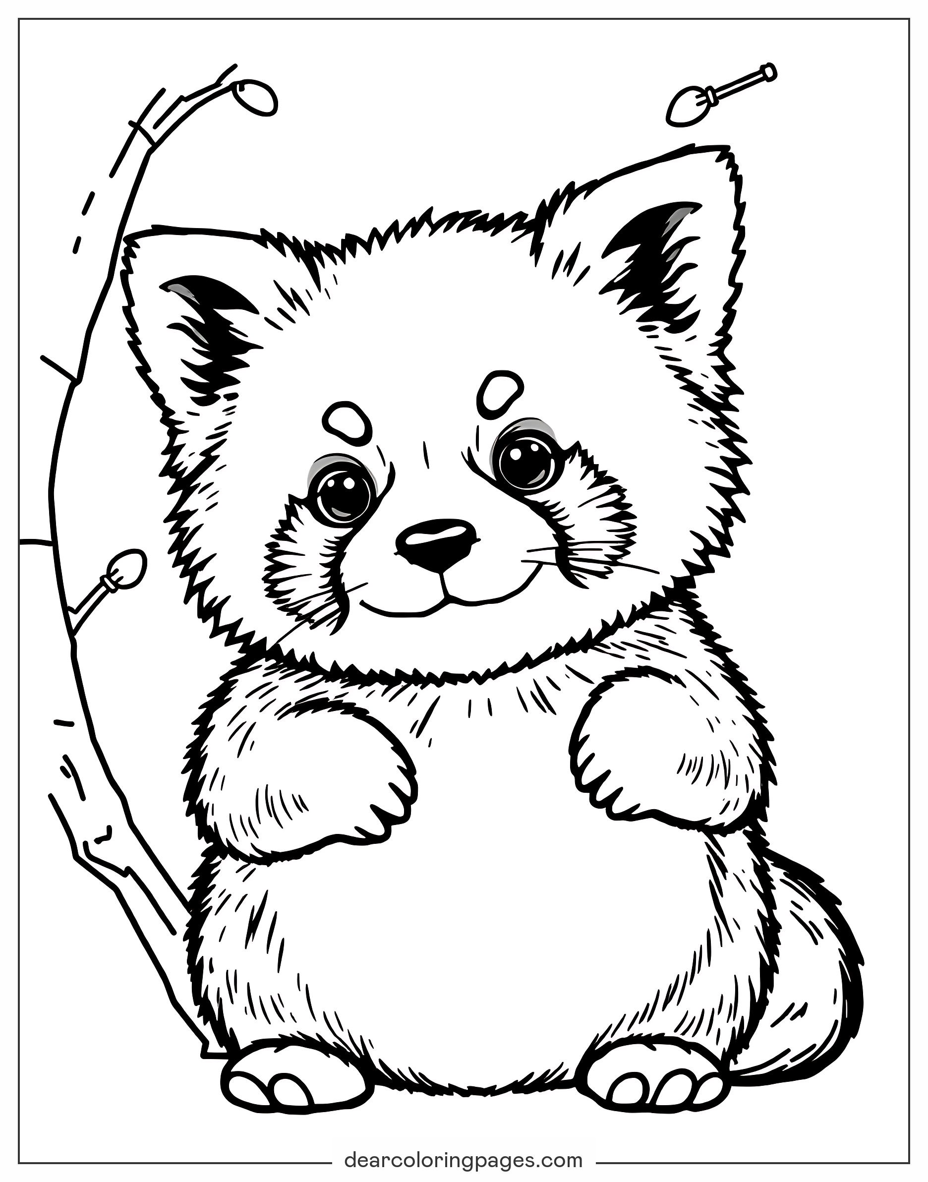 Red Panda Coloring Pages 11 Free Printable Coloring Pages