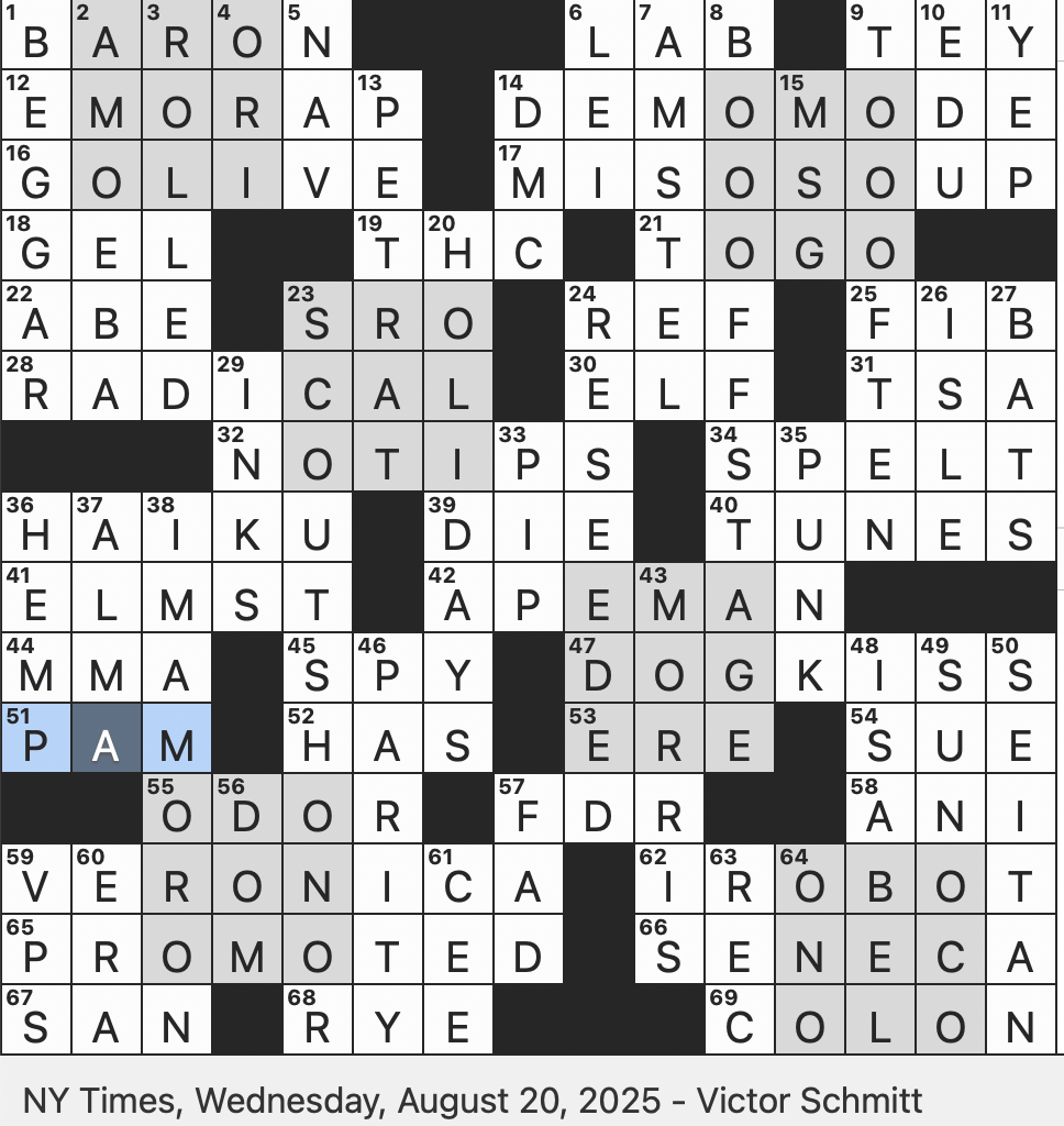 Rex Parker Does The NYT Crossword Puzzle Perishable Bit Of Apparel WED 8 20 25 Electronic Setting On A Floor Model Custom In Japanese Food Service Expel With Jeers 