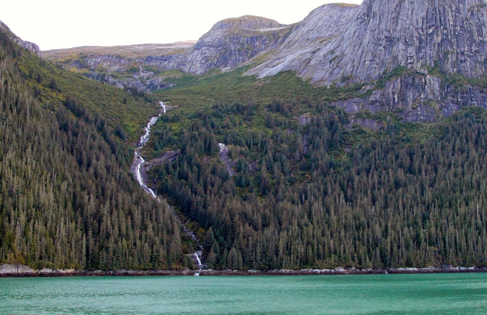 Sea Inlet Crossword Clue