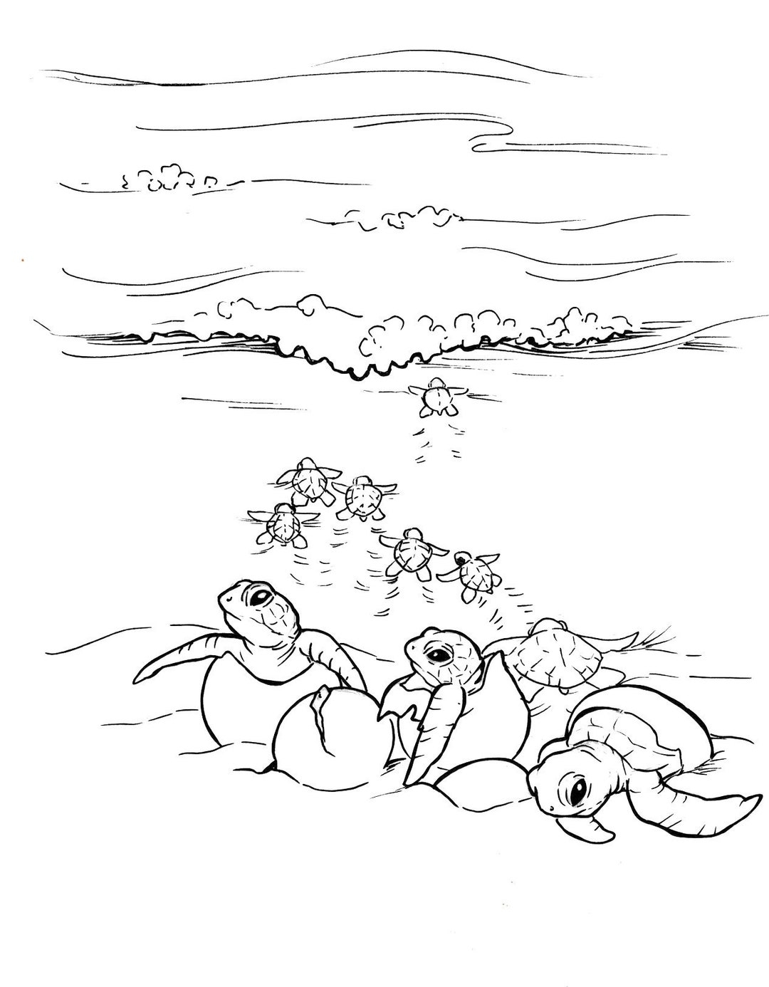 Sea Turtle Coloring Pages Etsy