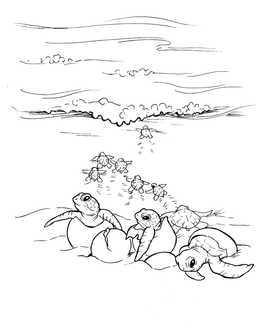 sea turtles coloring pages sea turtles coloring pages