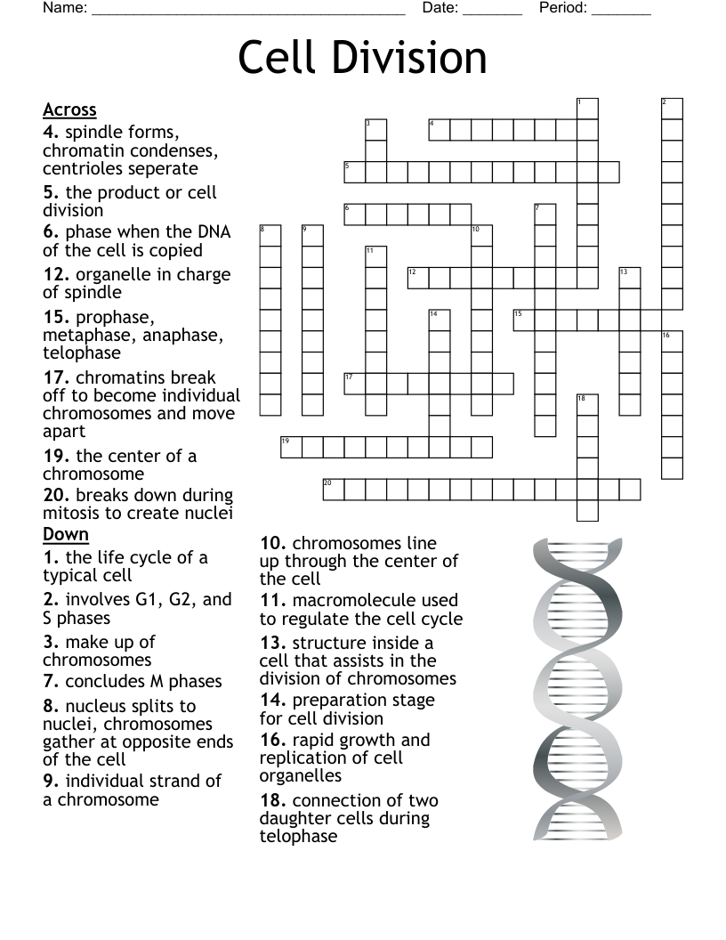Semester Exam Crossword WordMint