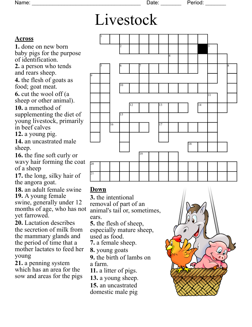 Sheep Crossword WordMint