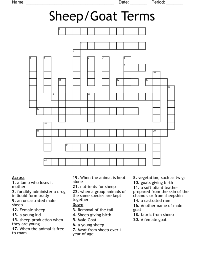 Sheep Goat Terms Crossword WordMint