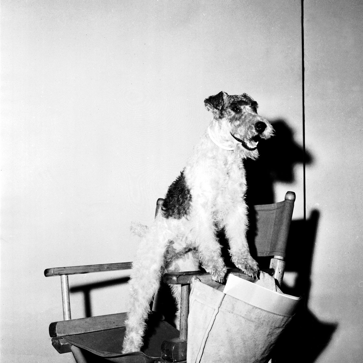 Skippy Hometowns To Hollywood