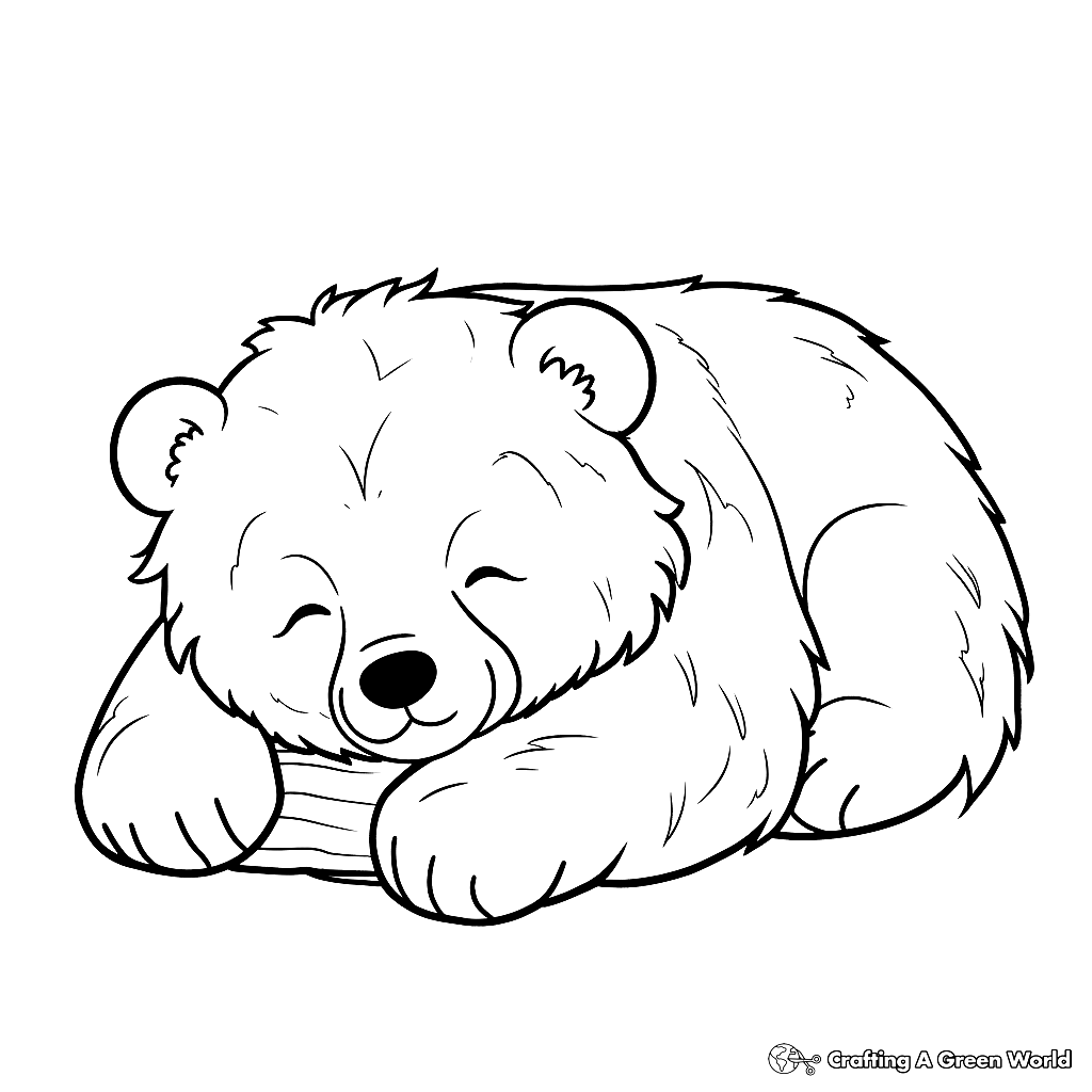 coloring pages of bears