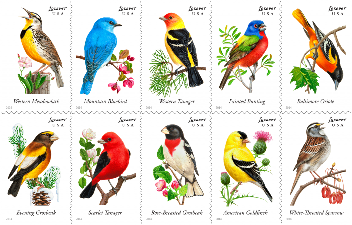 Small Songbirds Crossword Clue 5 Letters Letters