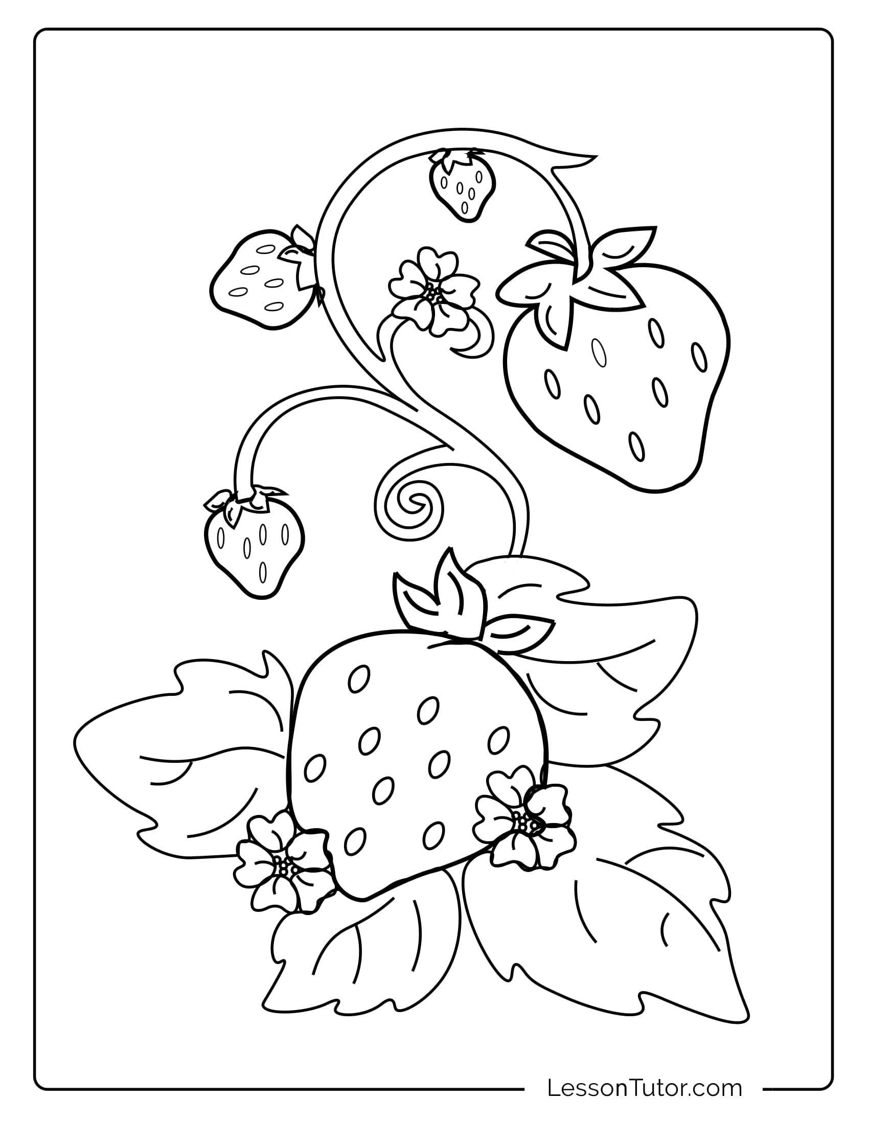 Strawberry Coloring Pages Lesson Tutor