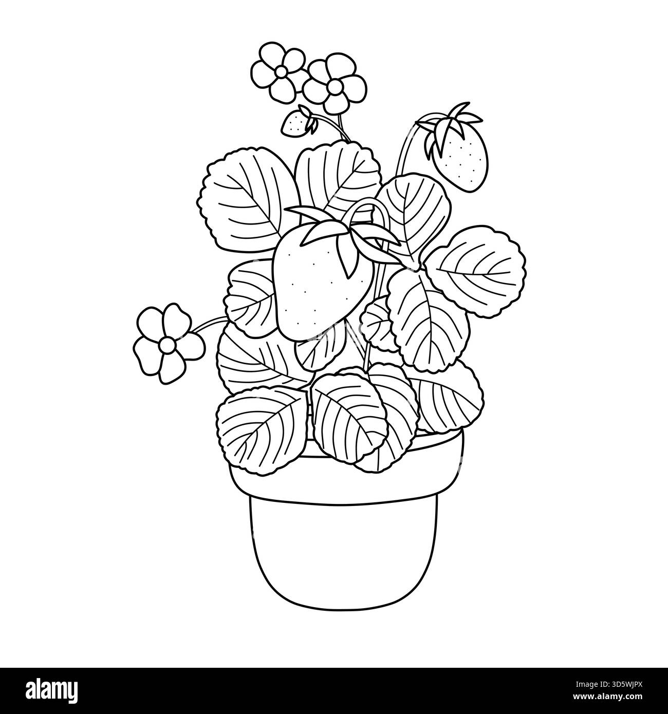 Strawberry Plant Leaves Black And White Stock Photos Images Alamy