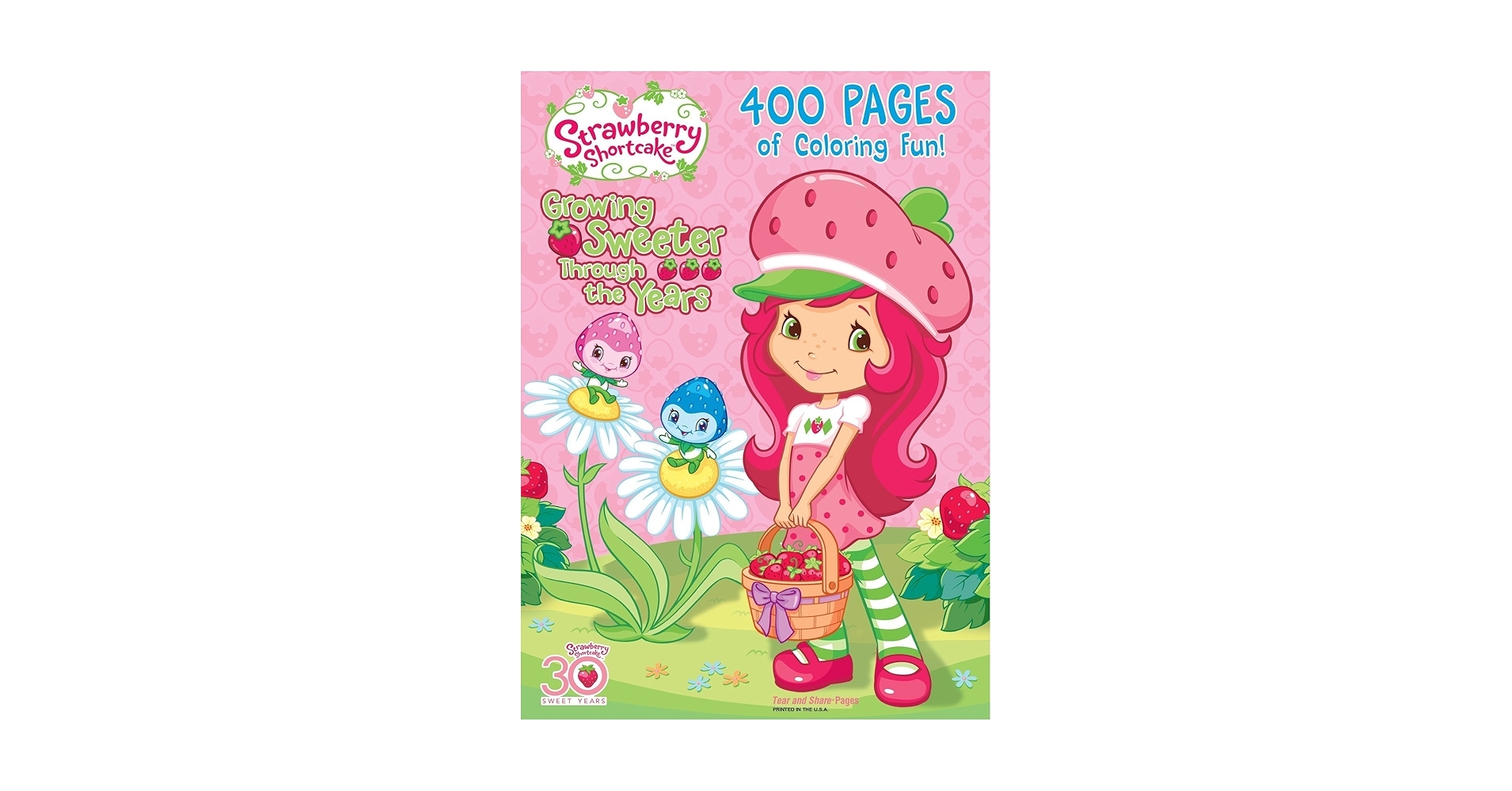Strawberry Shortcake 400 Pages Of Coloring Fun Strawberry Shortcake Colors May Vary Dalmatian Press 9781403705259 Amazon Books