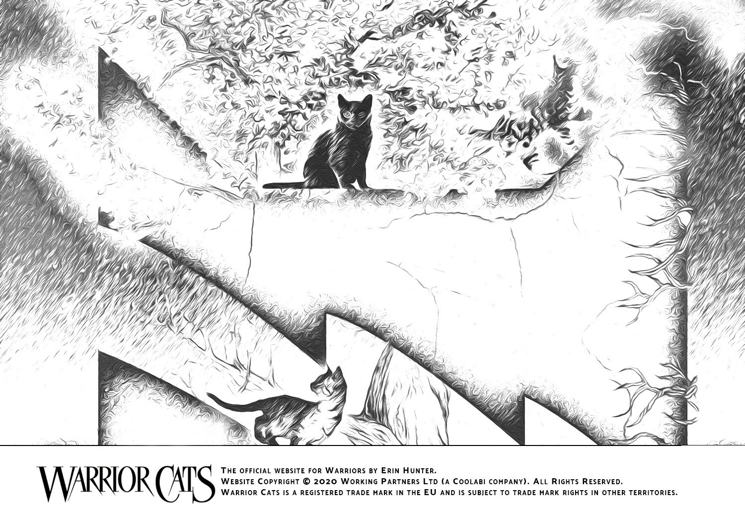 warrior cat coloring pages