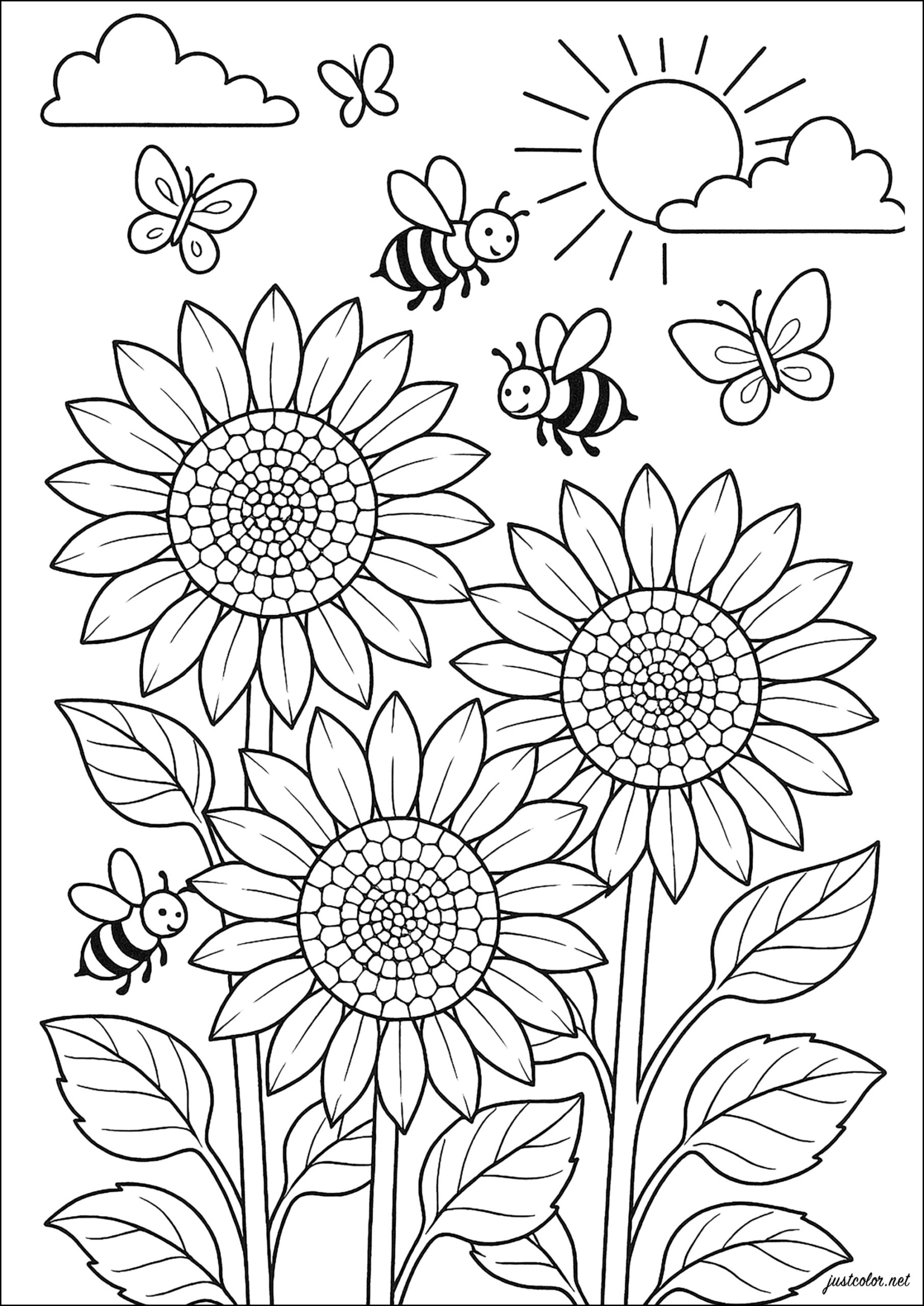 coloring picture of a sunflower