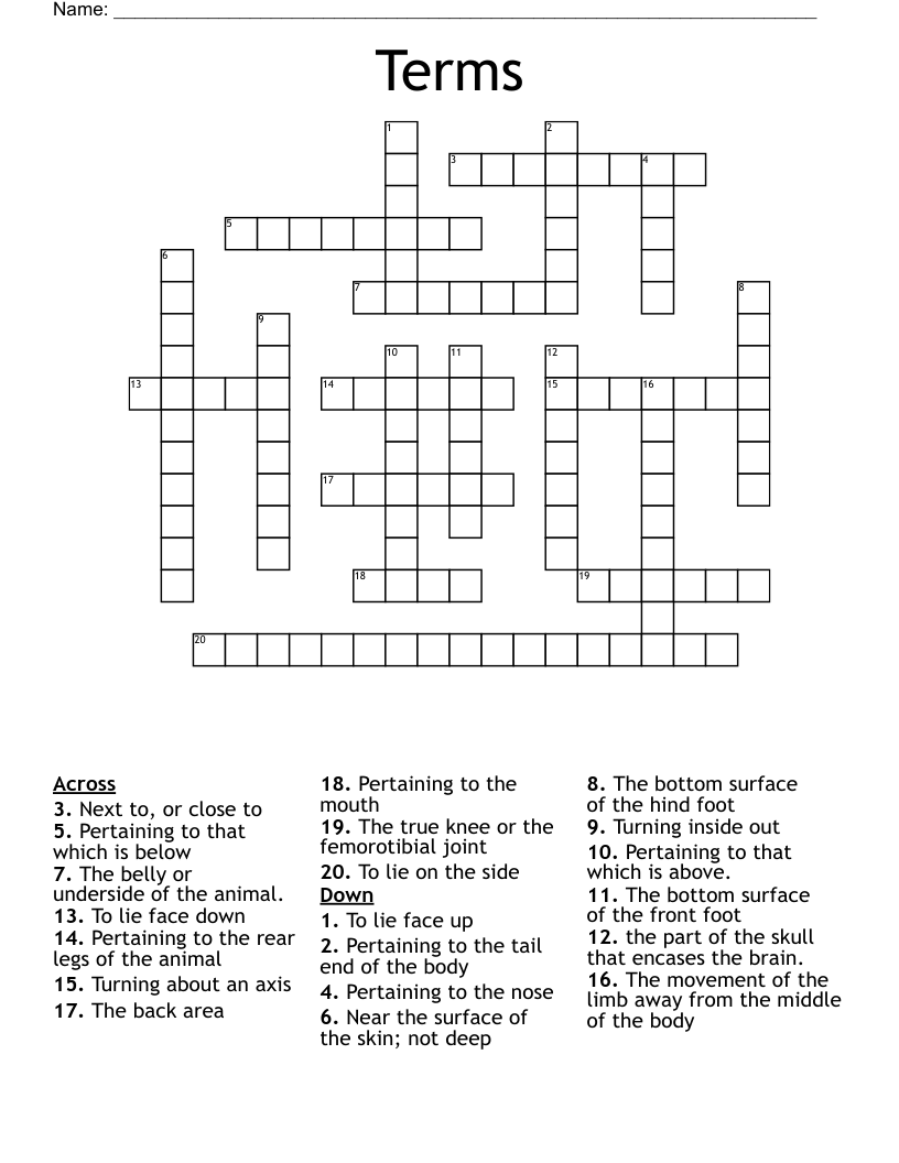 Terms Crossword WordMint