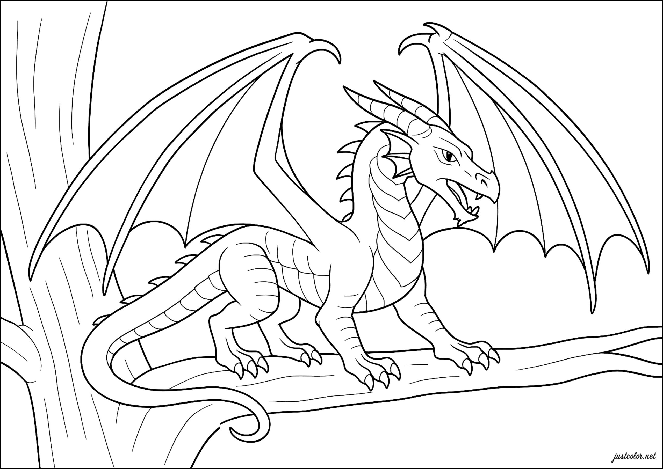 The Dragon In The Trees Wings Of Fire Coloring Pages The Dragon In The Trees Wings Of Fire Coloring Pages