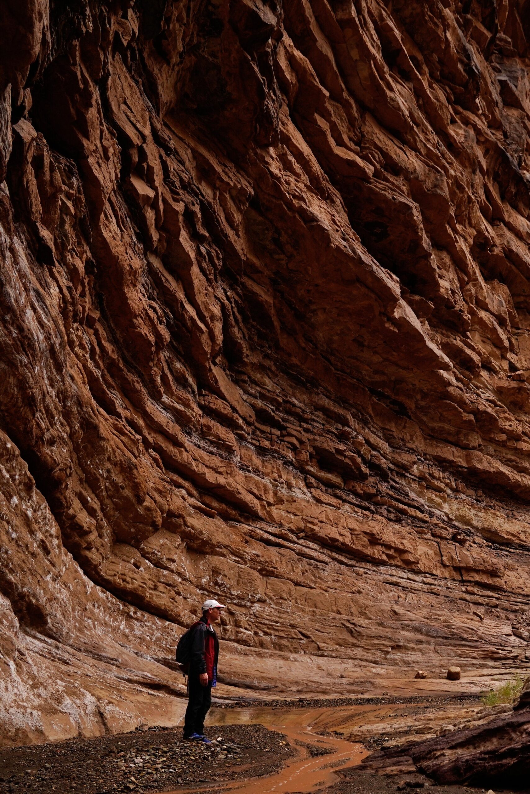 The Grand Canyon And Colorado River Are In Crisis The New York Times