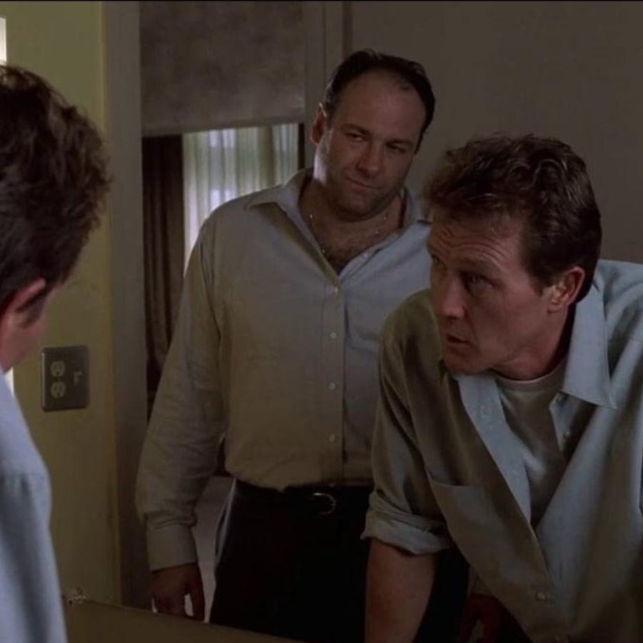 robert of the sopranos