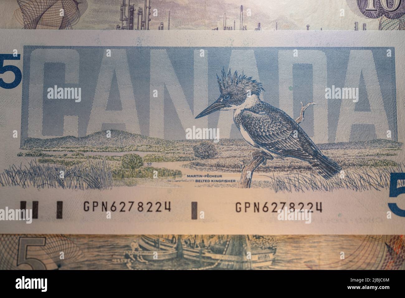 Toronto Canada October 30 2021 Bird On Canadian Dollar Banknotes Beautiful CAD Money Design Stock Photo Alamy