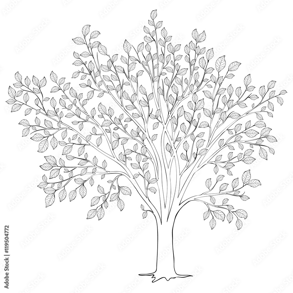 Tree With Leaves Silhouette Vector Coloring Book Page For Adult Stock Vector Adobe Stock